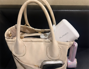 PlaDeo carried in M.O.'s handbag